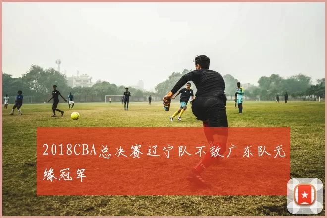 2018CBA总决赛辽宁队不敌广东队无缘冠军