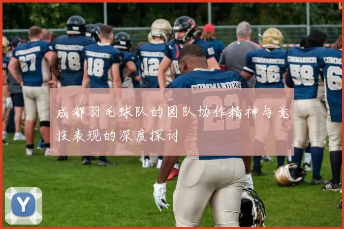 成都羽毛球队的团队协作精神与竞技表现的深度探讨