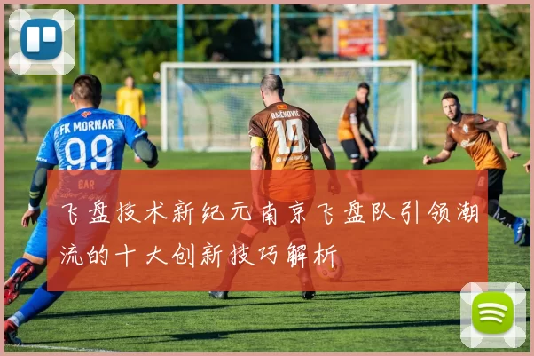 飞盘技术新纪元南京飞盘队引领潮流的十大创新技巧解析
