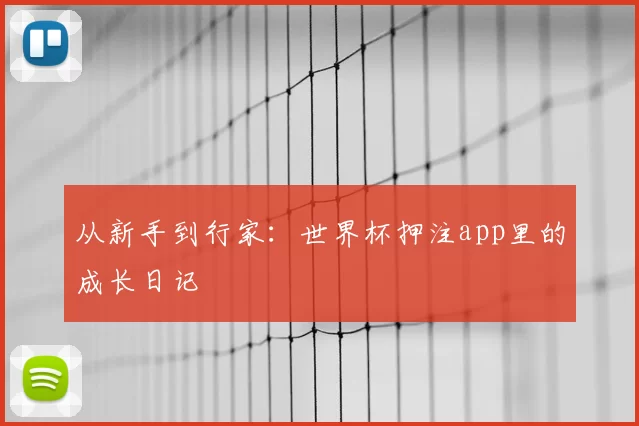 从新手到行家：世界杯押注app里的成长日记