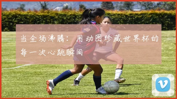 当全场沸腾：用动图珍藏世界杯的每一次心跳瞬间
