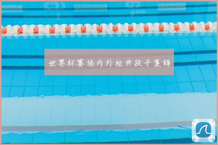 世界杯赛场内外经典段子集锦