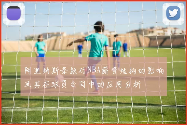 阿里纳斯条款对NBA薪资结构的影响及其在球员合同中的应用分析