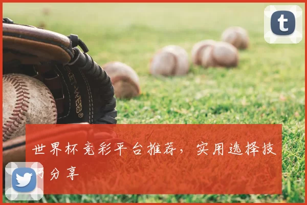 世界杯竞彩平台推荐，实用选择技巧分享