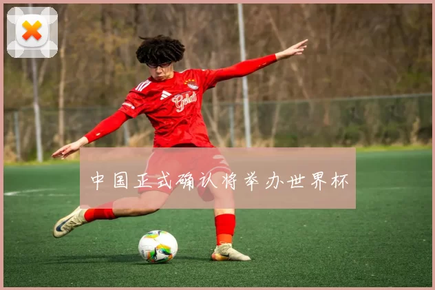 中国正式确认将举办世界杯