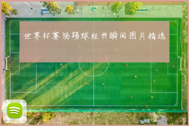 世界杯赛场踢球经典瞬间图片精选