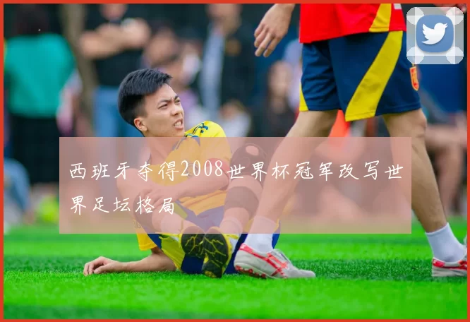 西班牙夺得2008世界杯冠军改写世界足坛格局