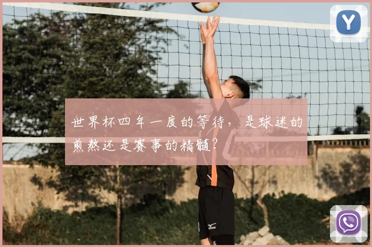 世界杯四年一度的等待,是球迷的煎熬还是赛事的精髓?