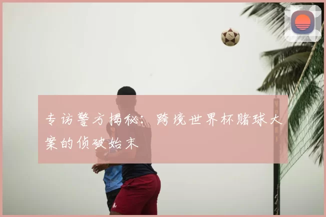 专访警方揭秘:跨境世界杯赌球大案的侦破始末
