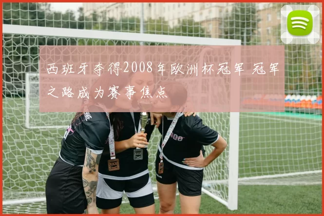 西班牙夺得2008年欧洲杯冠军 冠军之路成为赛事焦点
