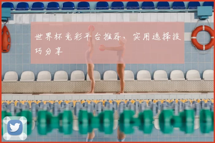 世界杯竞彩平台推荐，实用选择技巧分享