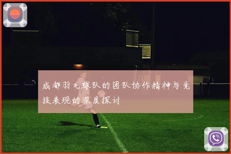 成都羽毛球队的团队协作精神与竞技表现的深度探讨