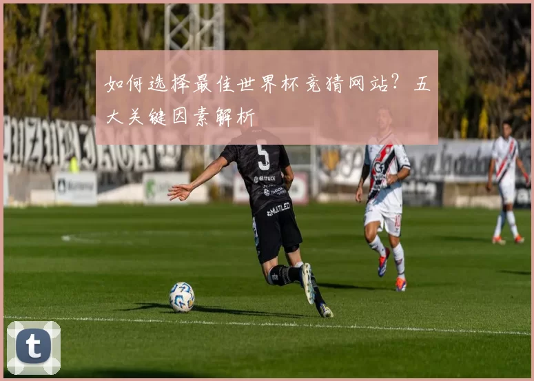 如何选择最佳世界杯竞猜网站？五大关键因素解析