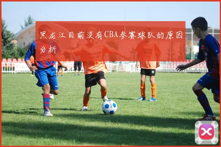 黑龙江目前没有CBA参赛球队的原因分析